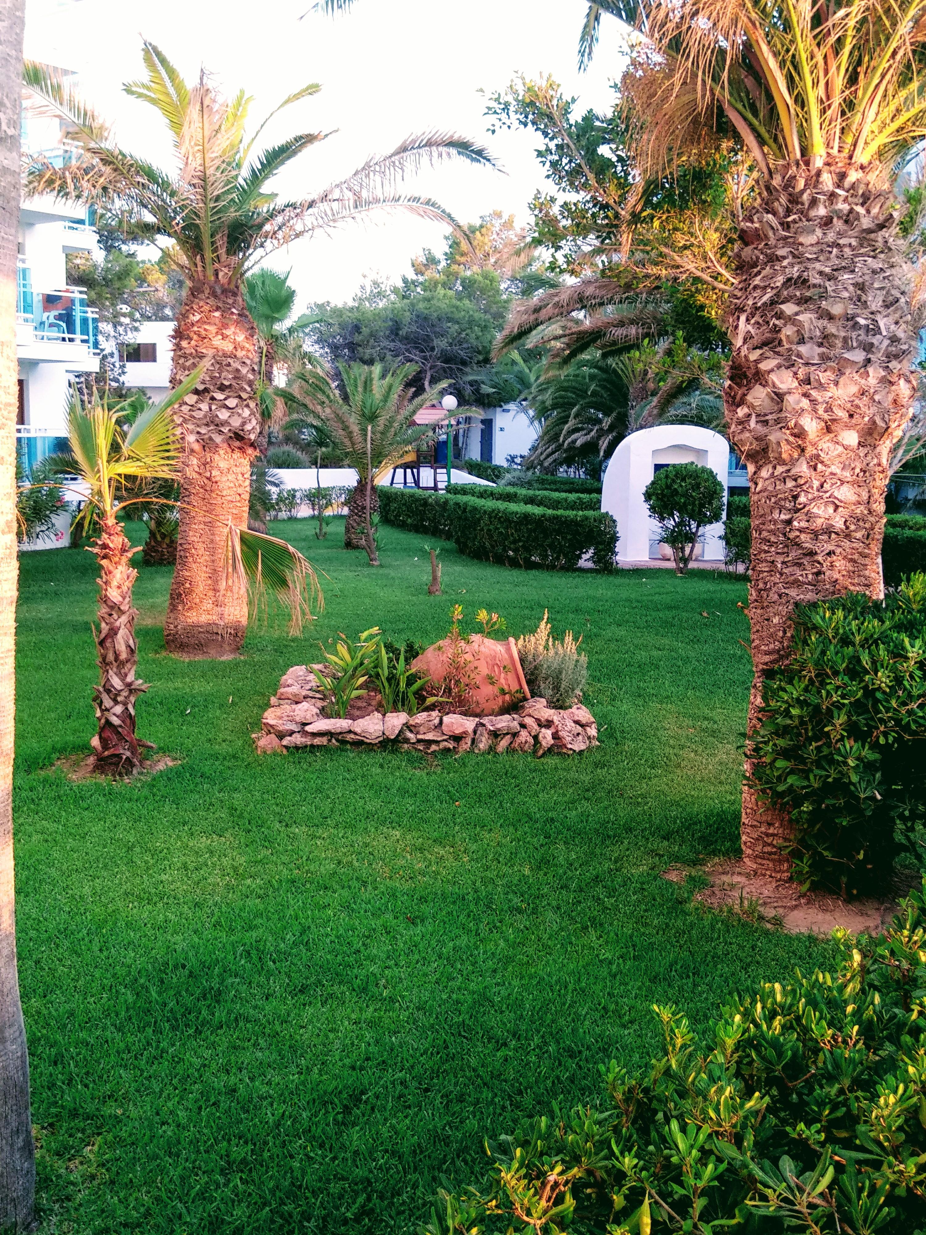 Aparthotel Nereida Σαν Αντόνιο Εξωτερικό φωτογραφία